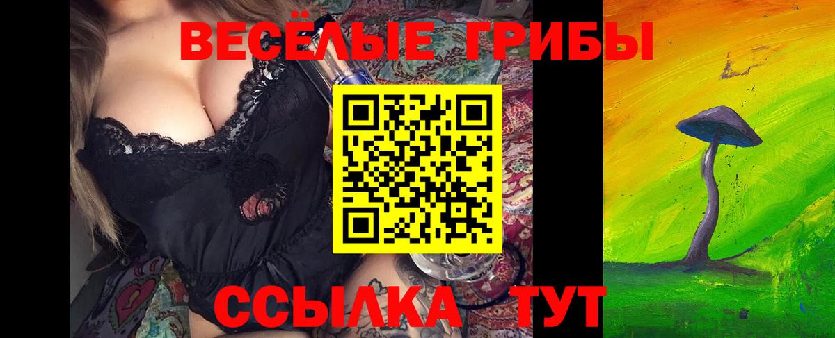 Псилоцибиновые грибы мухоморы Гусиноозёрск