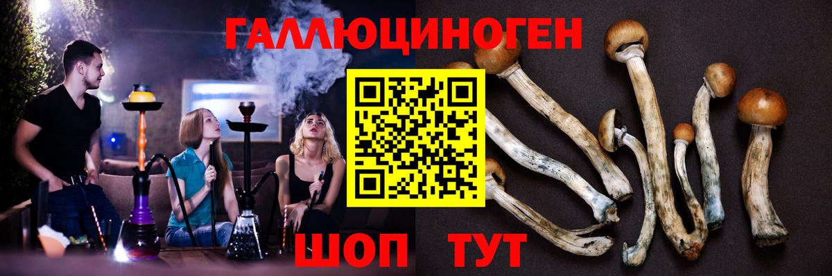 Псилоцибиновые грибы GOLDEN TEACHER Гусиноозёрск